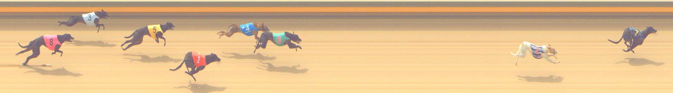 Photo finish for Shepparton Race 2
