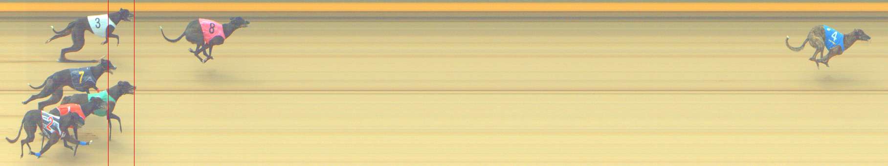 Photo finish for Shepparton Race 3