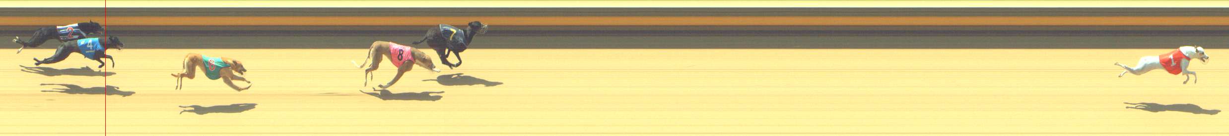 Photo finish for Shepparton Race 4