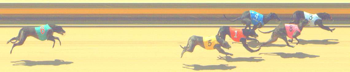 Photo finish for Shepparton Race 5