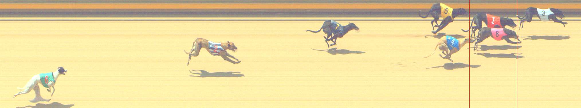 Photo finish for Shepparton Race 6