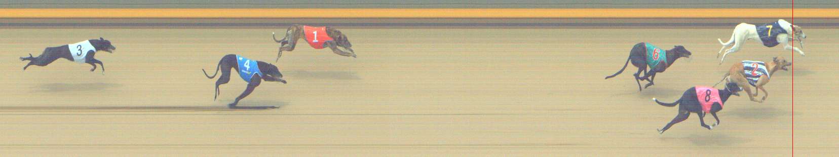 Photo finish for Shepparton Race 8