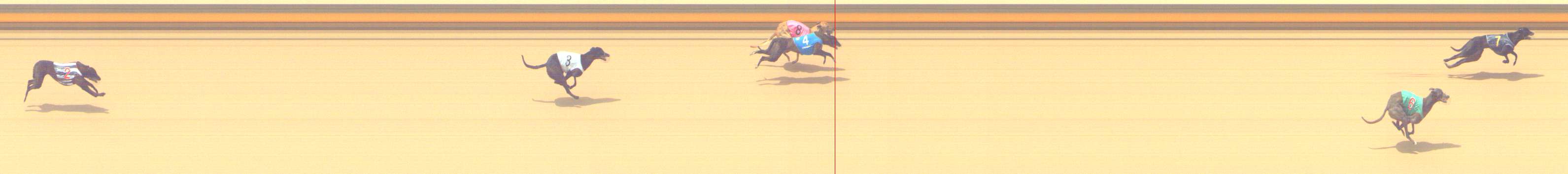 Photo finish for Shepparton Race 9