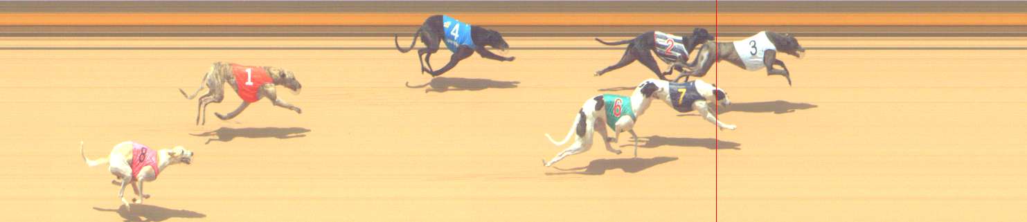 Photo finish for Shepparton Race 10