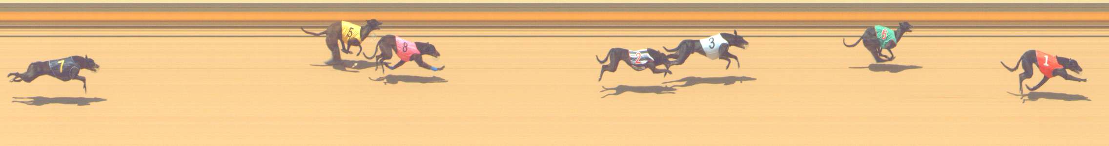 Photo finish for Shepparton Race 11