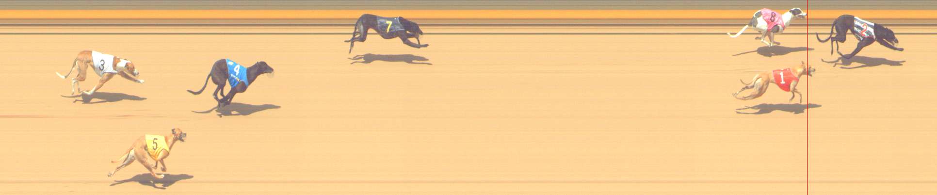 Photo finish for Shepparton Race 12