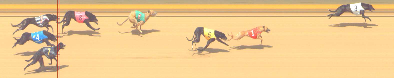 Photo finish for Shepparton Race 13