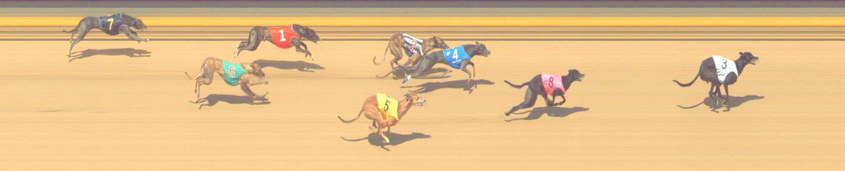 Photo finish for Shepparton Race 14