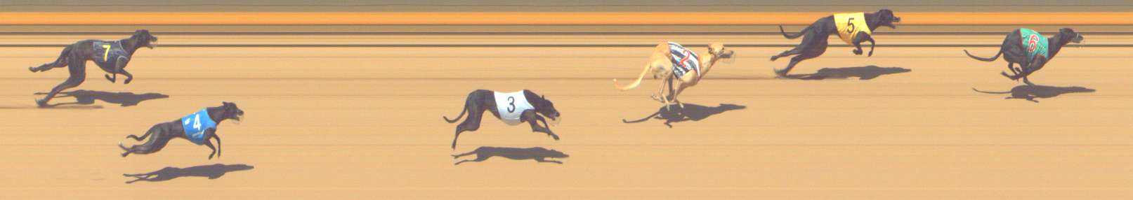 Photo finish for Shepparton Race 1