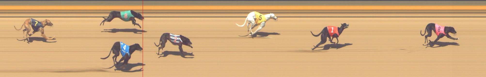 Photo finish for Shepparton Race 2