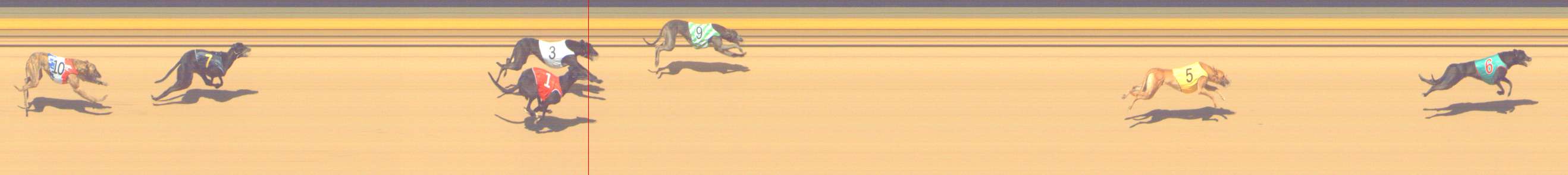 Photo finish for Shepparton Race 3