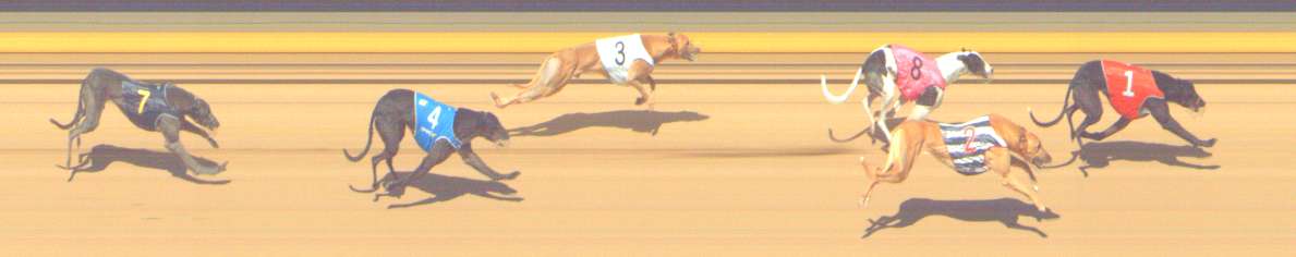 Photo finish for Shepparton Race 4