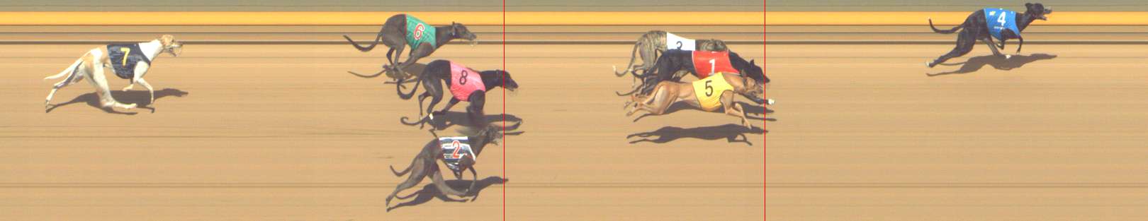 Photo finish for Shepparton Race 5