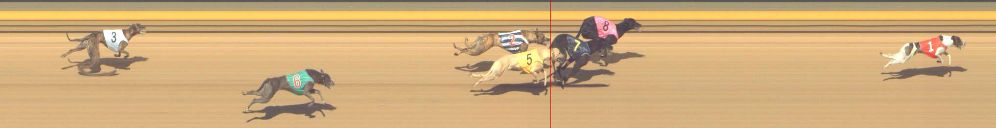 Photo finish for Shepparton Race 6