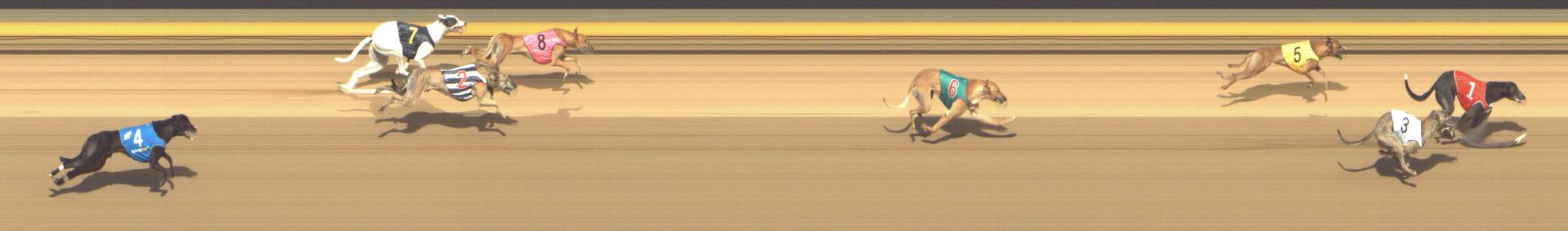Photo finish for Shepparton Race 7