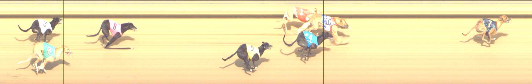 Photo finish for Shepparton Race 9
