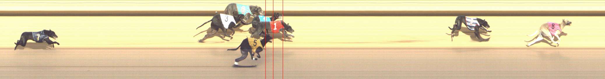Photo finish for Shepparton Race 10