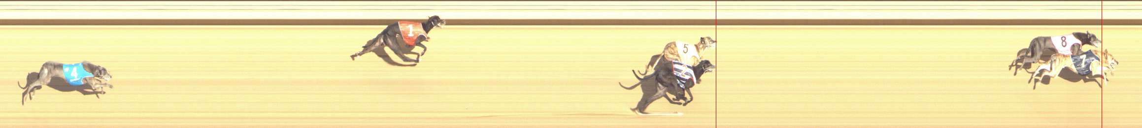 Photo finish for Shepparton Race 12