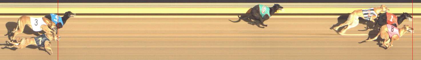 Photo finish for Shepparton Race 13