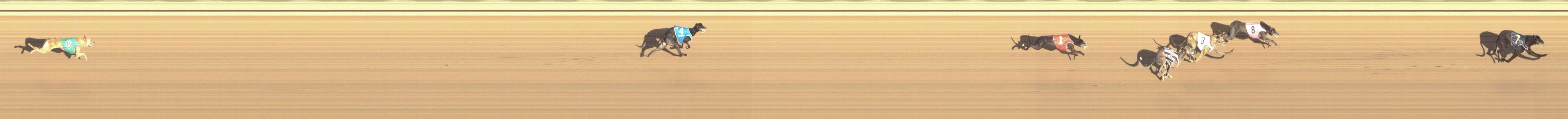 Photo finish for Shepparton Race 14