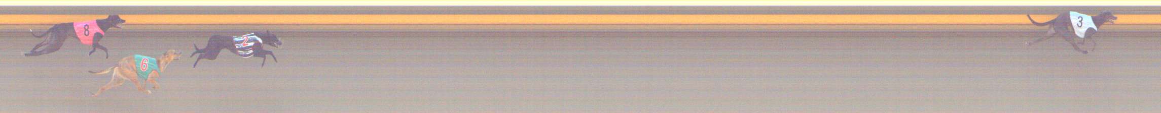 Photo finish for Shepparton Race 1