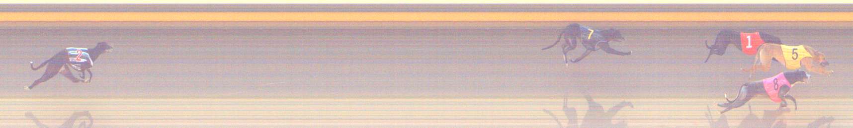 Photo finish for Shepparton Race 2