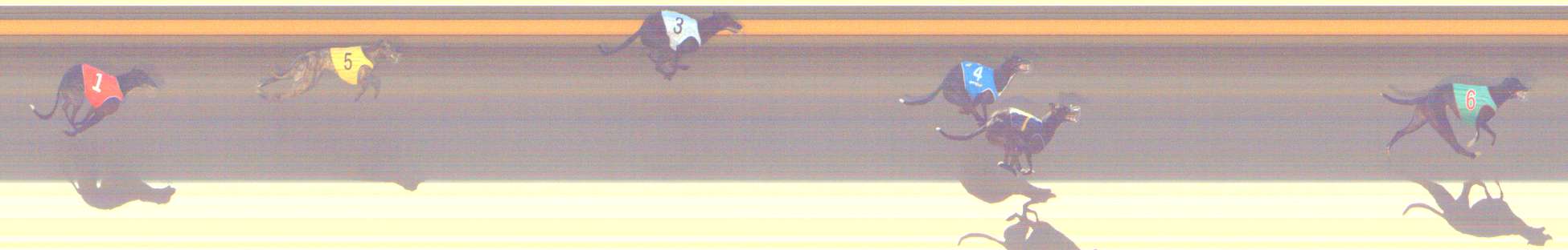 Photo finish for Shepparton Race 3