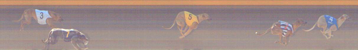 Photo finish for Shepparton Race 4