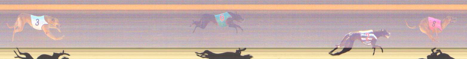 Photo finish for Shepparton Race 5
