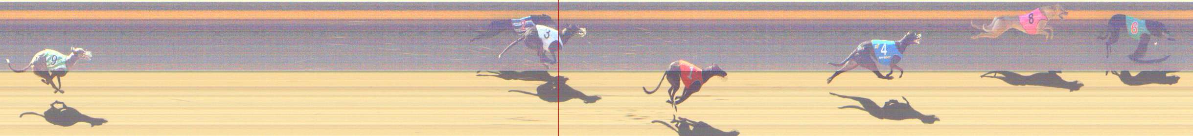 Photo finish for Shepparton Race 6