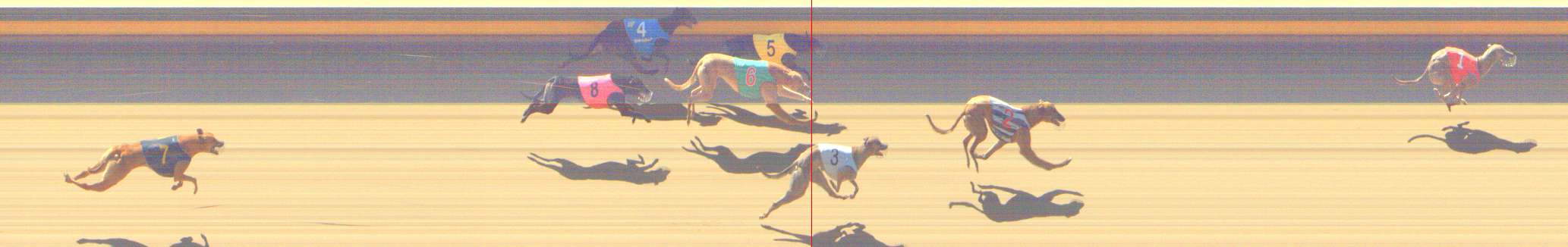 Photo finish for Shepparton Race 7