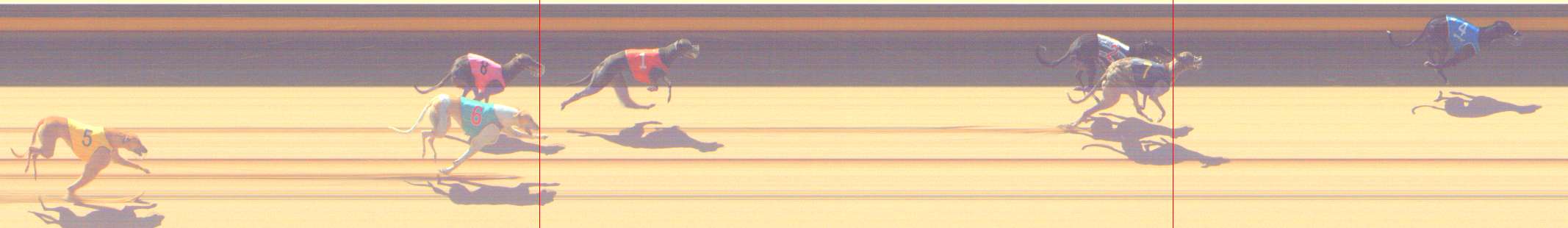 Photo finish for Shepparton Race 8