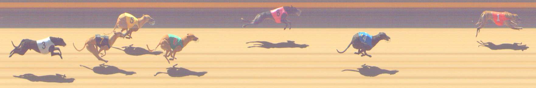Photo finish for Shepparton Race 9