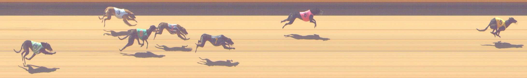 Photo finish for Shepparton Race 10