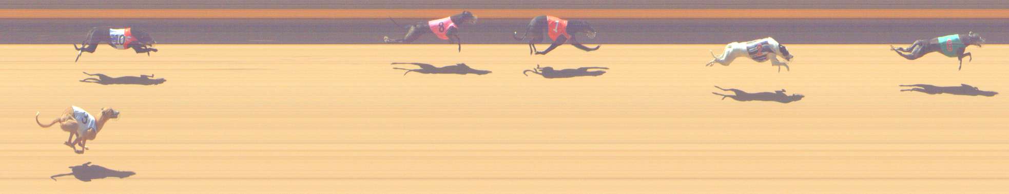 Photo finish for Shepparton Race 11