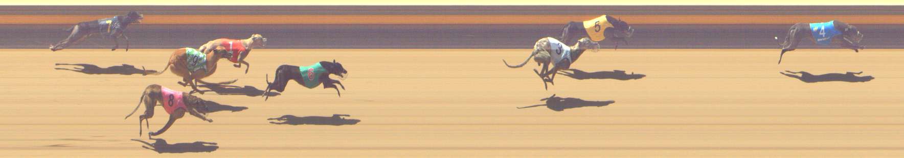 Photo finish for Shepparton Race 12