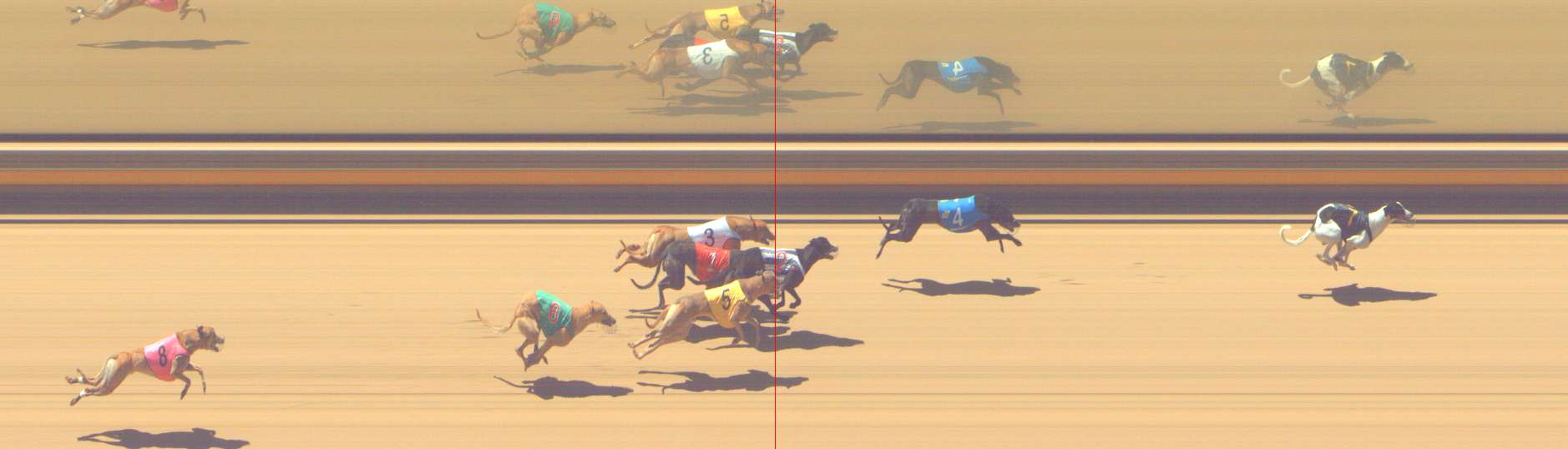 Photo finish for Shepparton Race 13