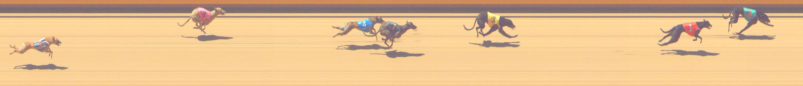 Photo finish for Shepparton Race 14