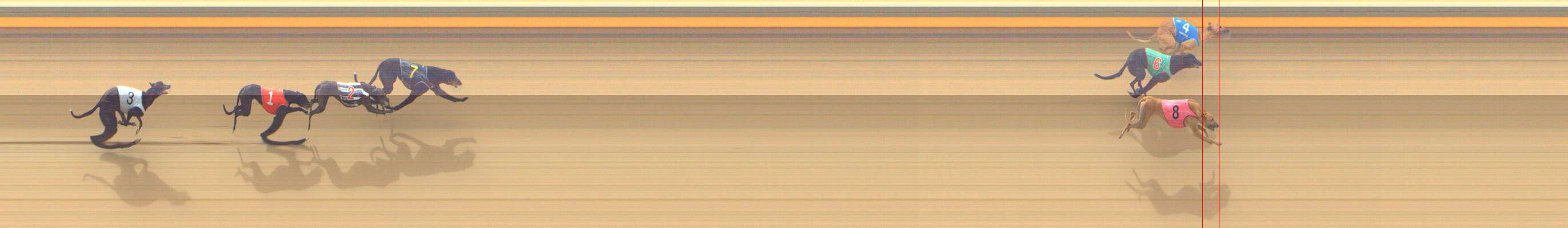 Photo finish for Shepparton Race 1
