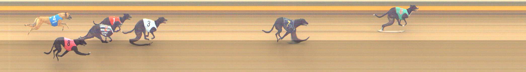 Photo finish for Shepparton Race 2