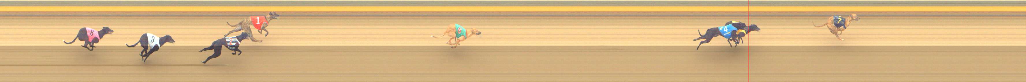 Photo finish for Shepparton Race 3