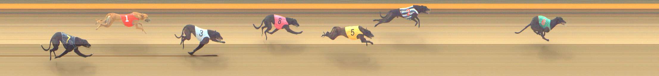 Photo finish for Shepparton Race 4