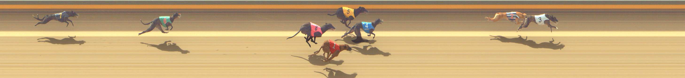 Photo finish for Shepparton Race 5