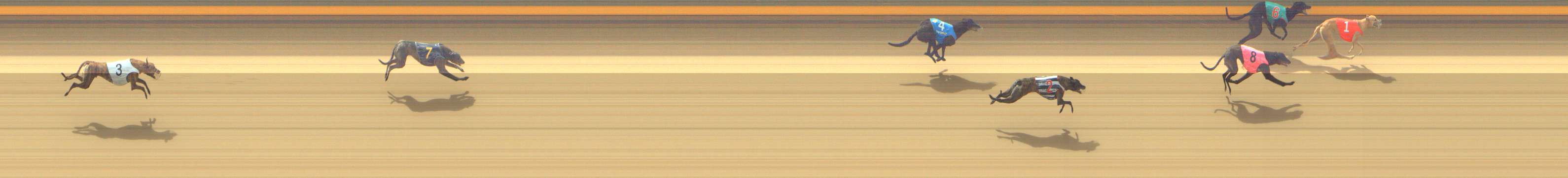 Photo finish for Shepparton Race 6