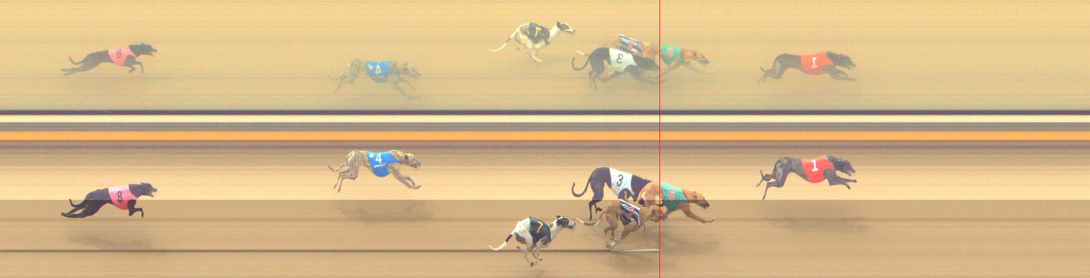 Photo finish for Shepparton Race 7