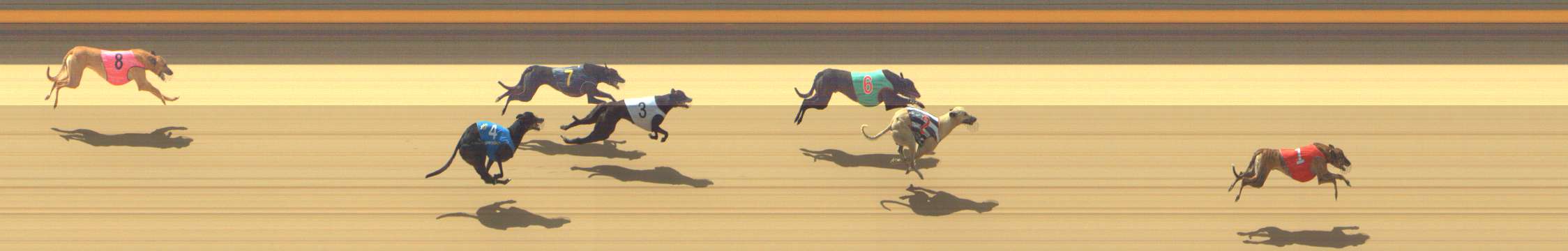 Photo finish for Shepparton Race 8