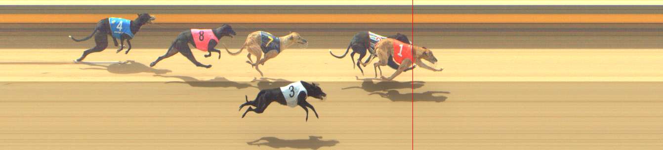 Photo finish for Shepparton Race 9