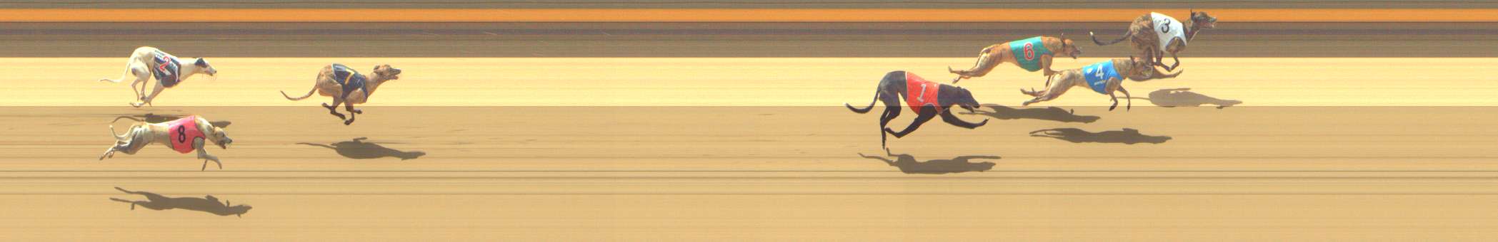 Photo finish for Shepparton Race 10