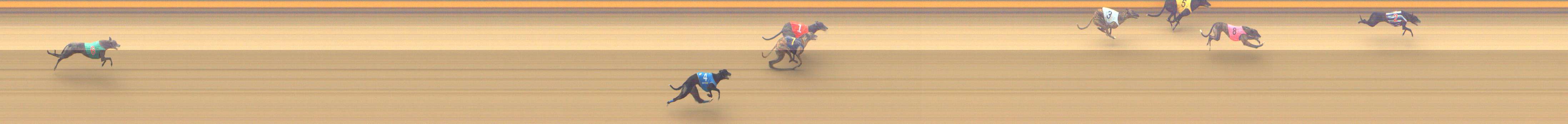 Photo finish for Shepparton Race 12