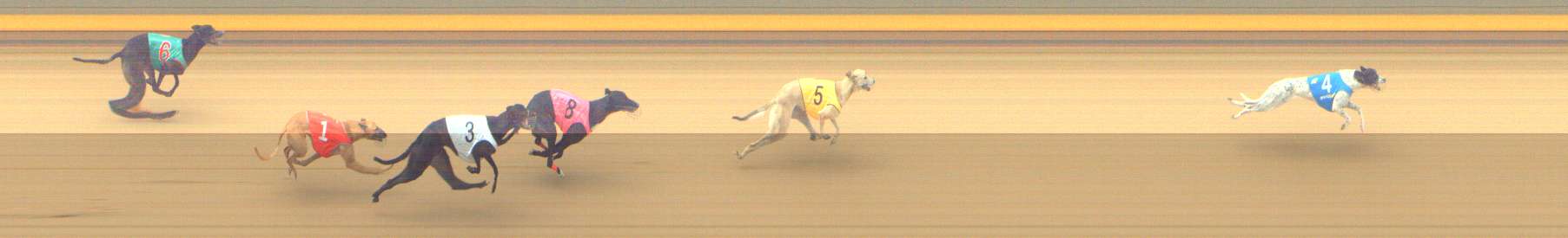 Photo finish for Shepparton Race 13